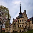 Schönfelder Traumschloss