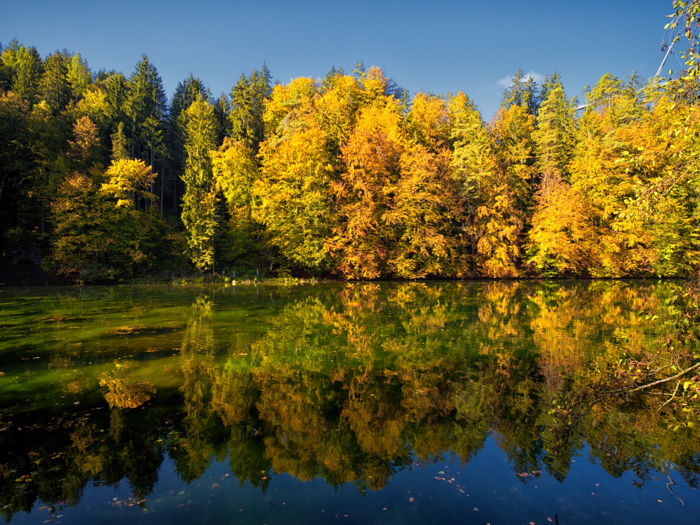 Schöngrundsee