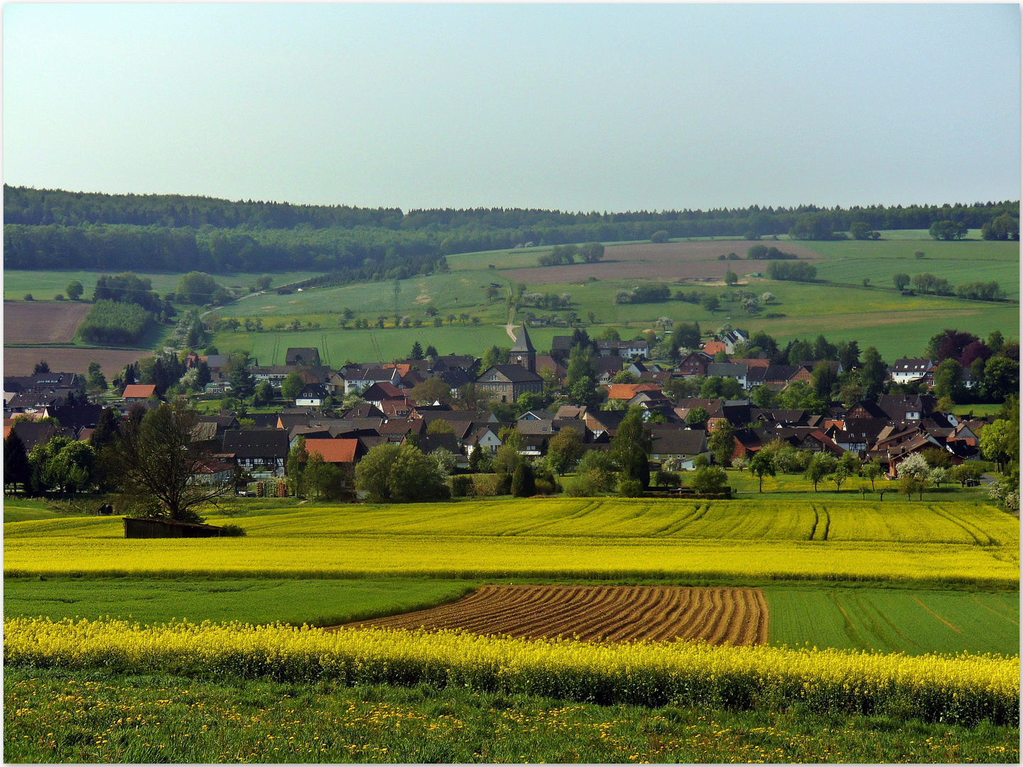 Schönhagen im Solling