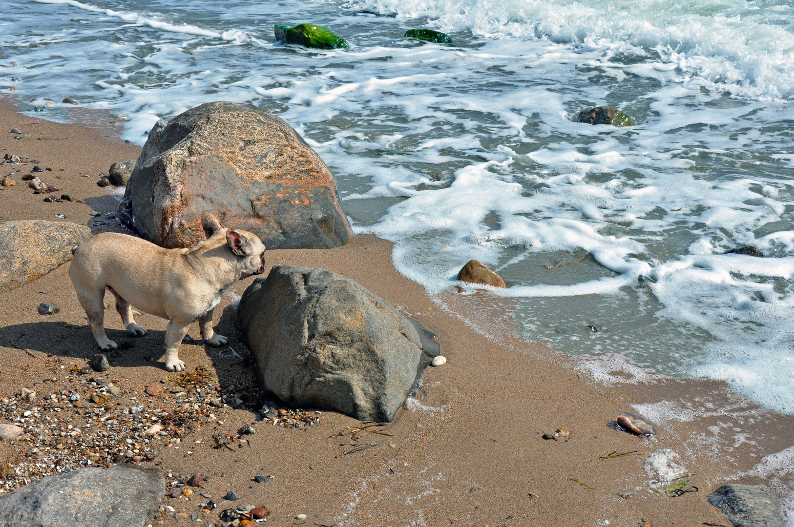 Schönhagen Ostsee