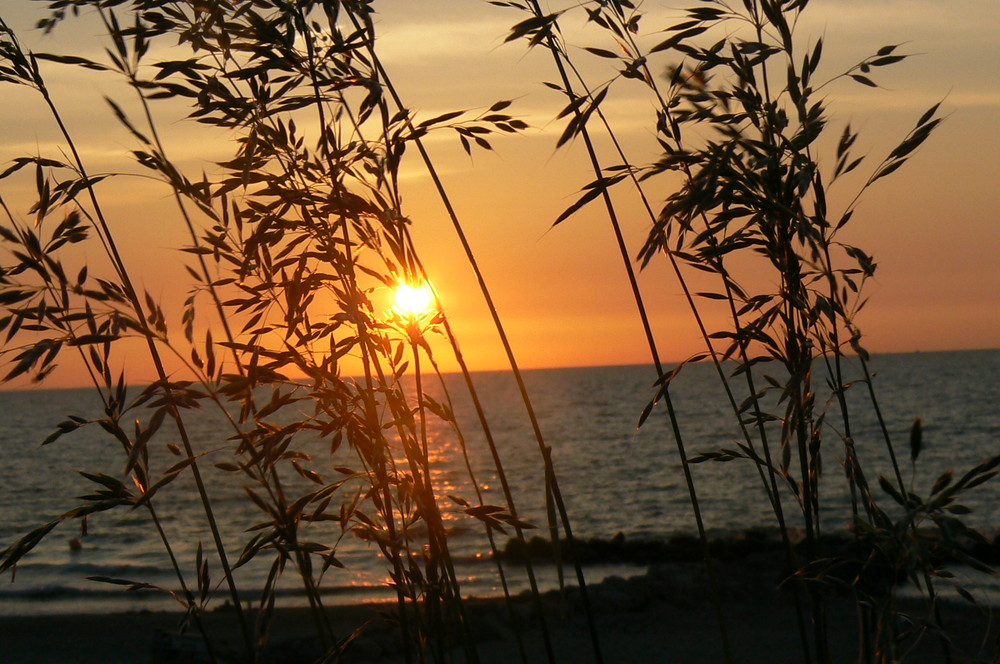 Schönhagen Strand