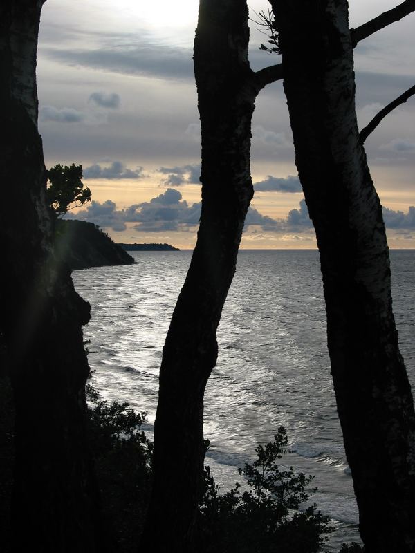 Schönheit am Abend