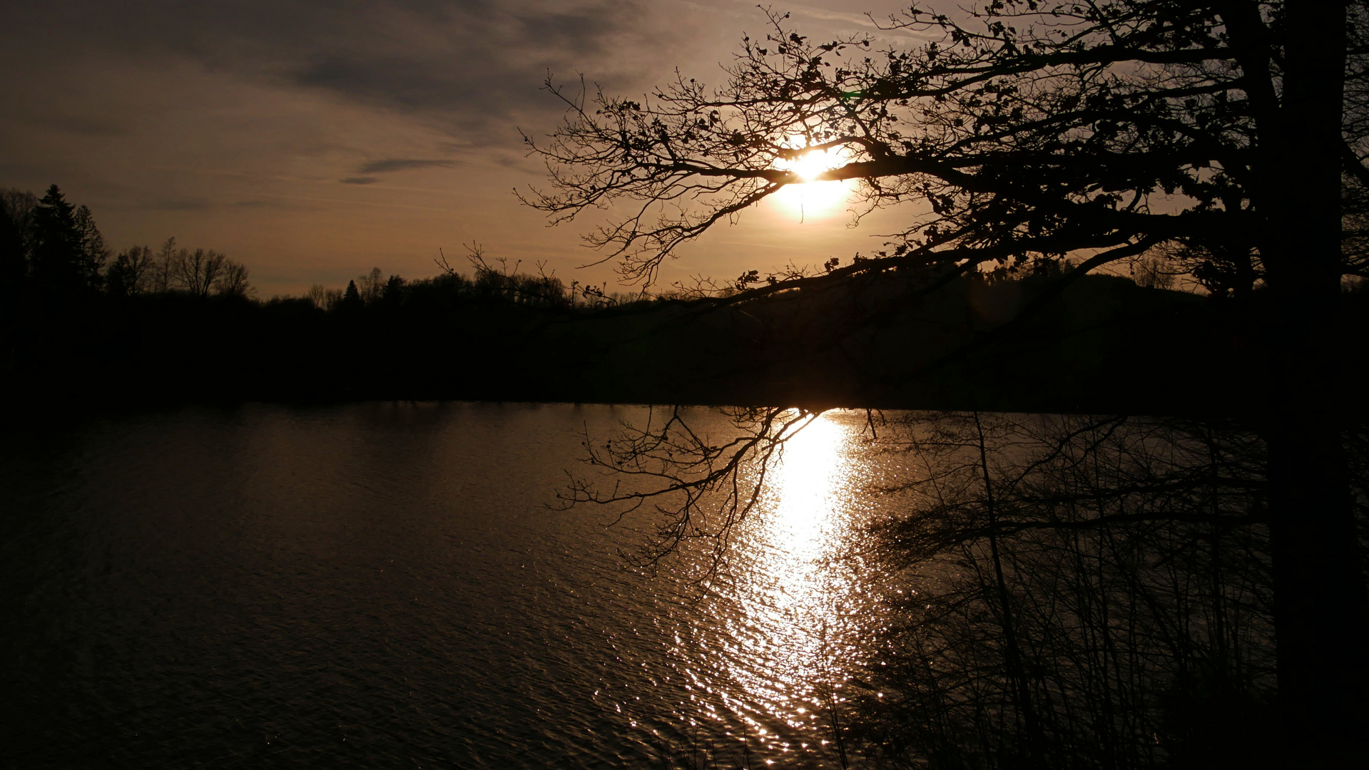 Schönheit am Abend