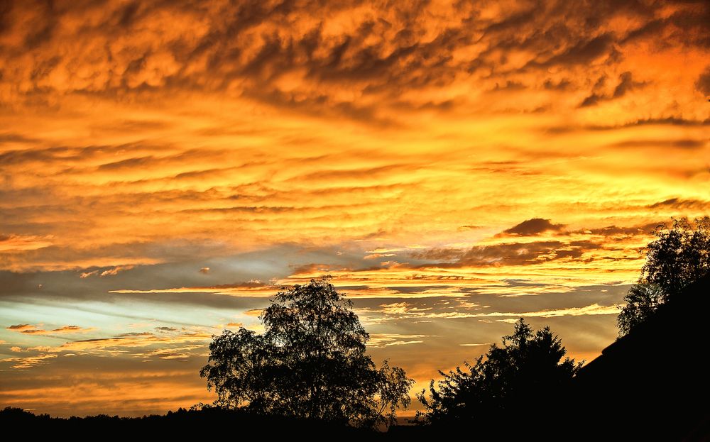 Schönheit am Himmel