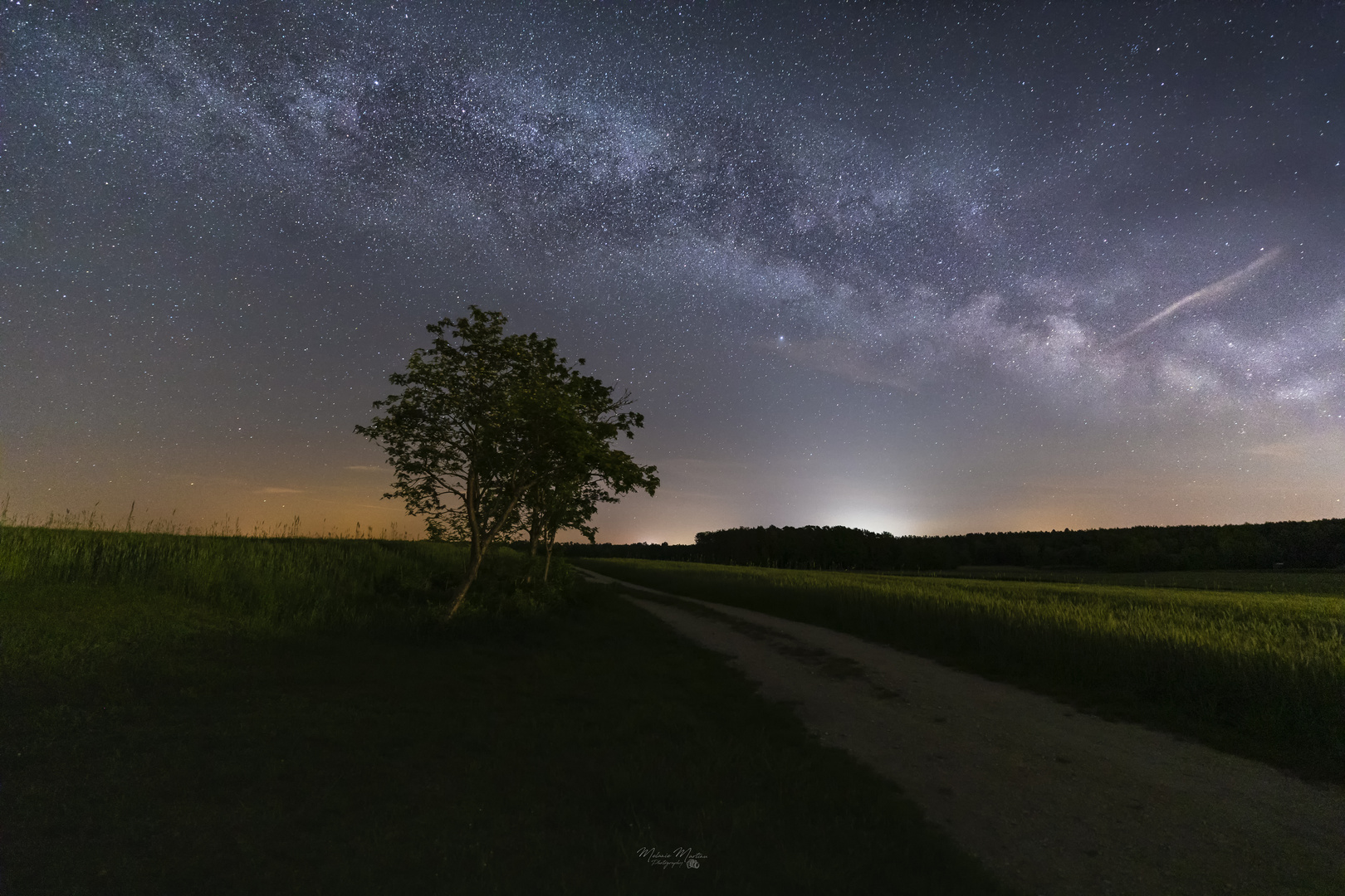 Schönheit der Nacht 