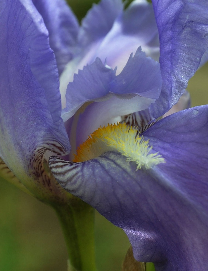 Schönheit der Natur