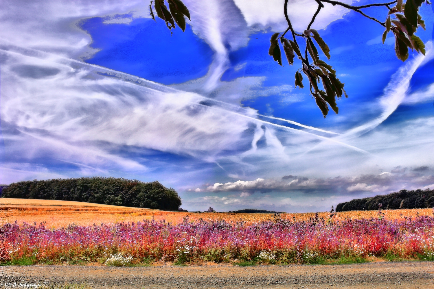 Schönheit der Natur Foto & Bild  wolken, himmel, felder Bilder auf fotocommunity