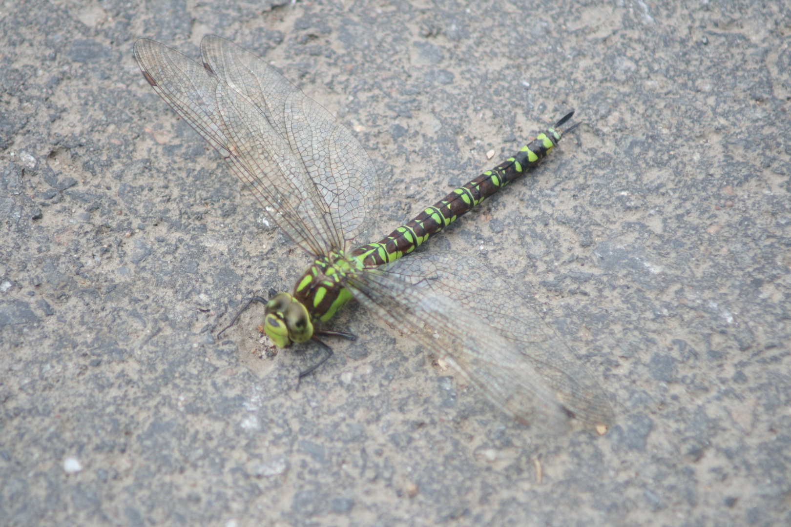 Schönheit der Natur