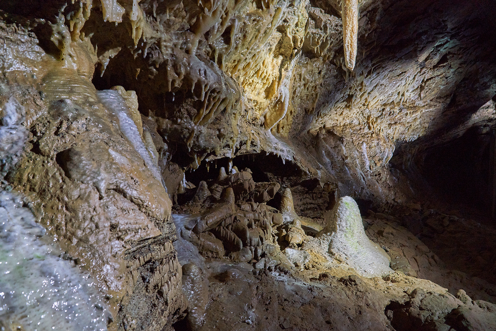 Schönheit der Natur - Drachenhöhle Syrau 5