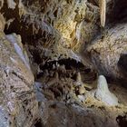 Schönheit der Natur - Drachenhöhle Syrau 5