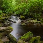 Schönheit der Natur