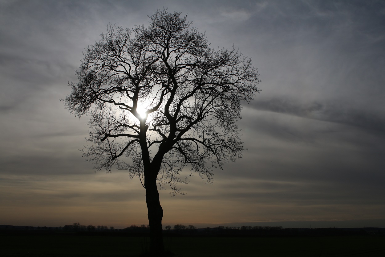 Schönheit der Natur