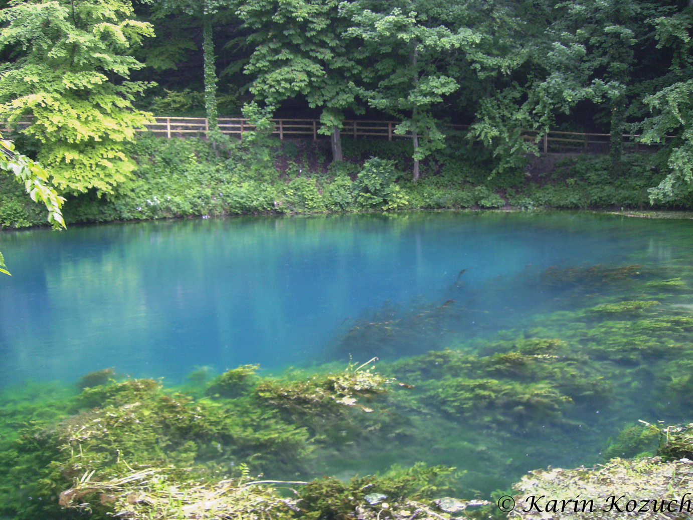 Schönheit des Blautopfs