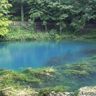 Schönheit des Blautopfs