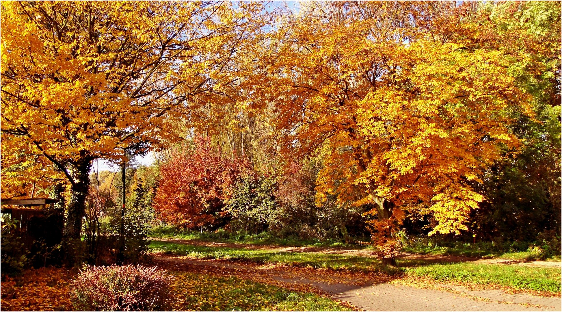 Schönheit des Herbstes