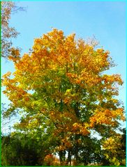 Schönheit des Herbstes