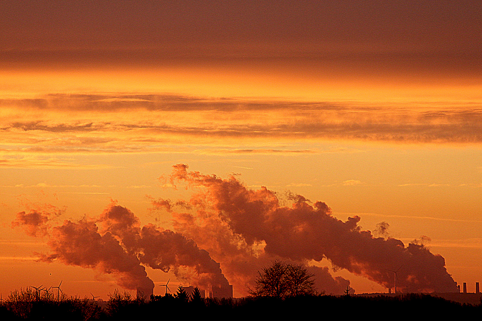 Schönheit des Smog