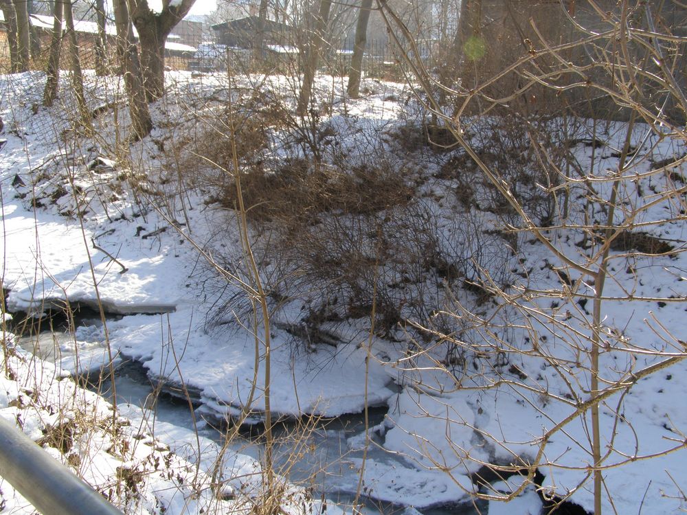 SCHÖNHEIT DES WINTERS