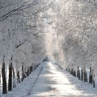 Schönheit des Winters