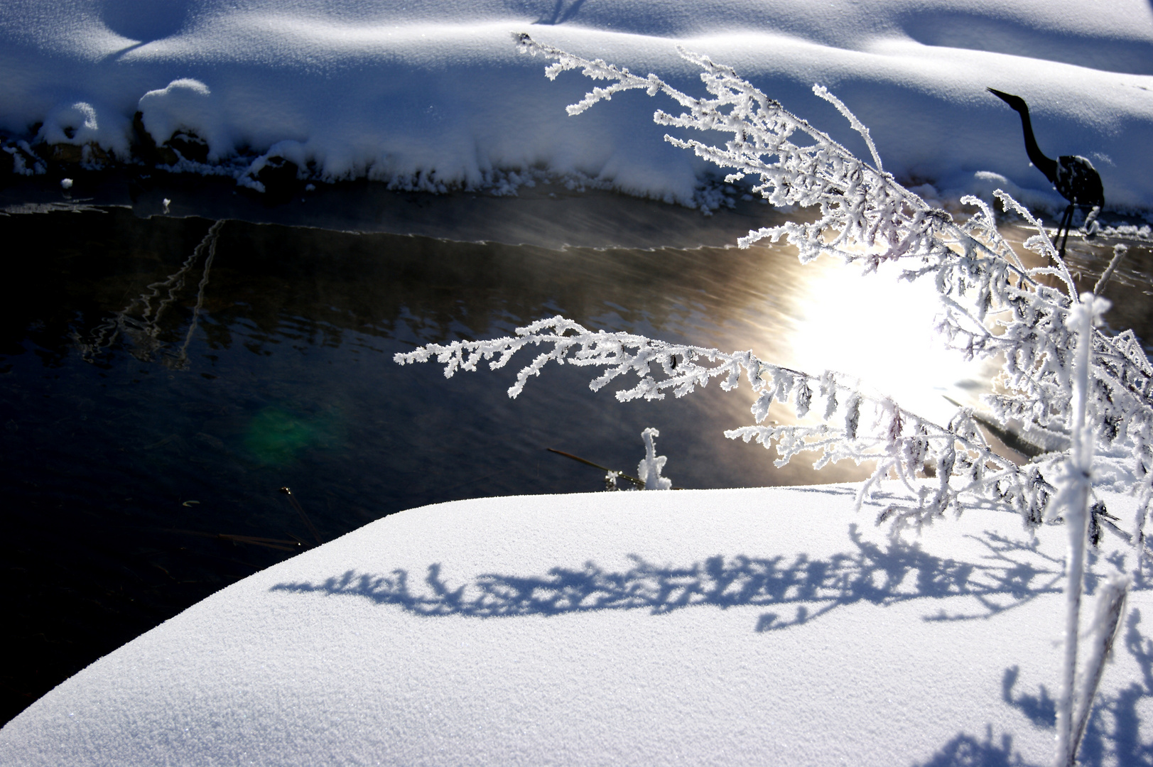 Schönheit des Winters