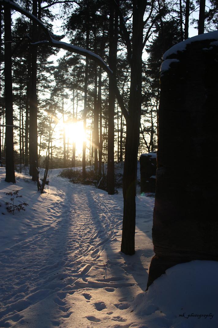 Schönheit des Winters