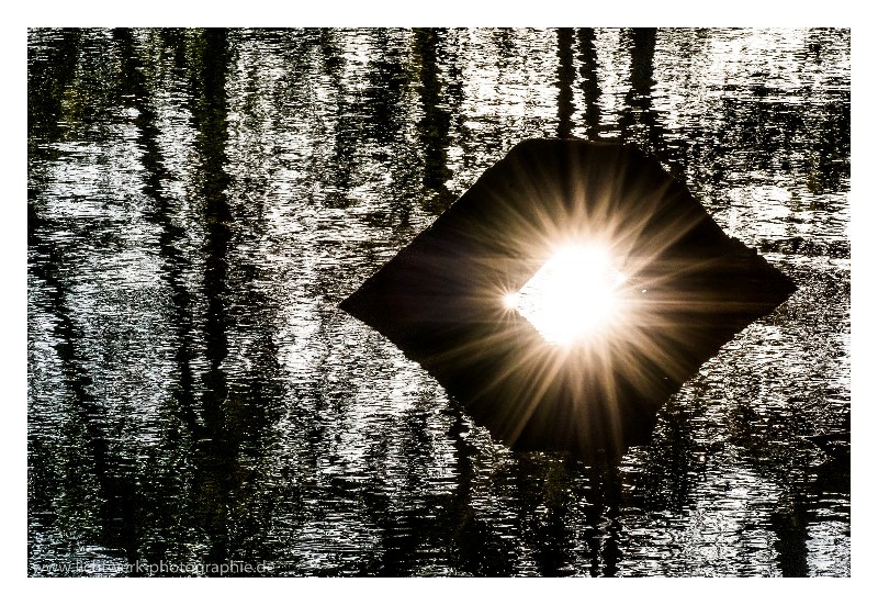 Schönheit im Wasser