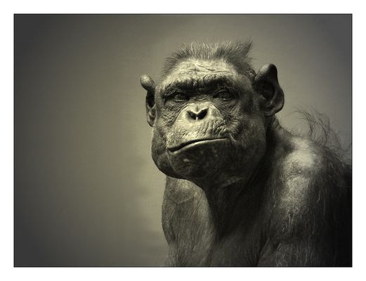 Schönheit ist relativ