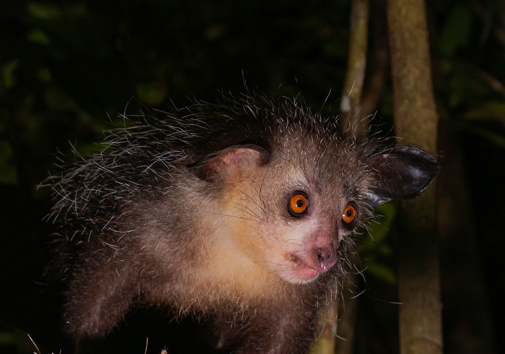 Schönheit liegt im Auge des Betrachters... Foto & Bild makro, natur