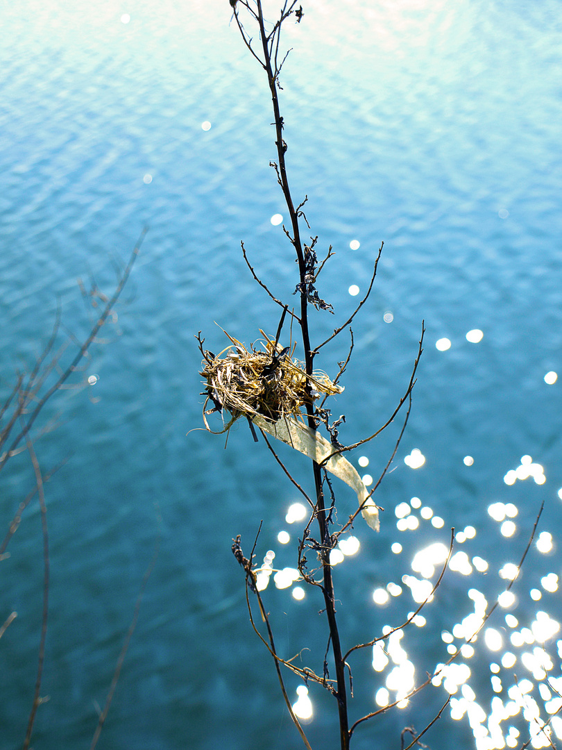 Schönheit liegt in der Natur...