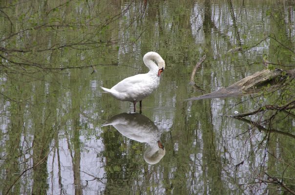 Schönheit muss gepflegt werden.