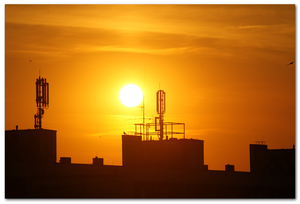 Schönheit "Sonne"