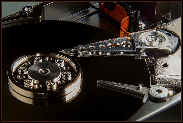 Schönheit von innen...