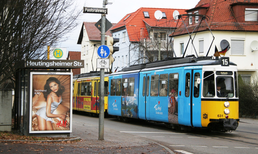 Schönheiten beim Wetteifern