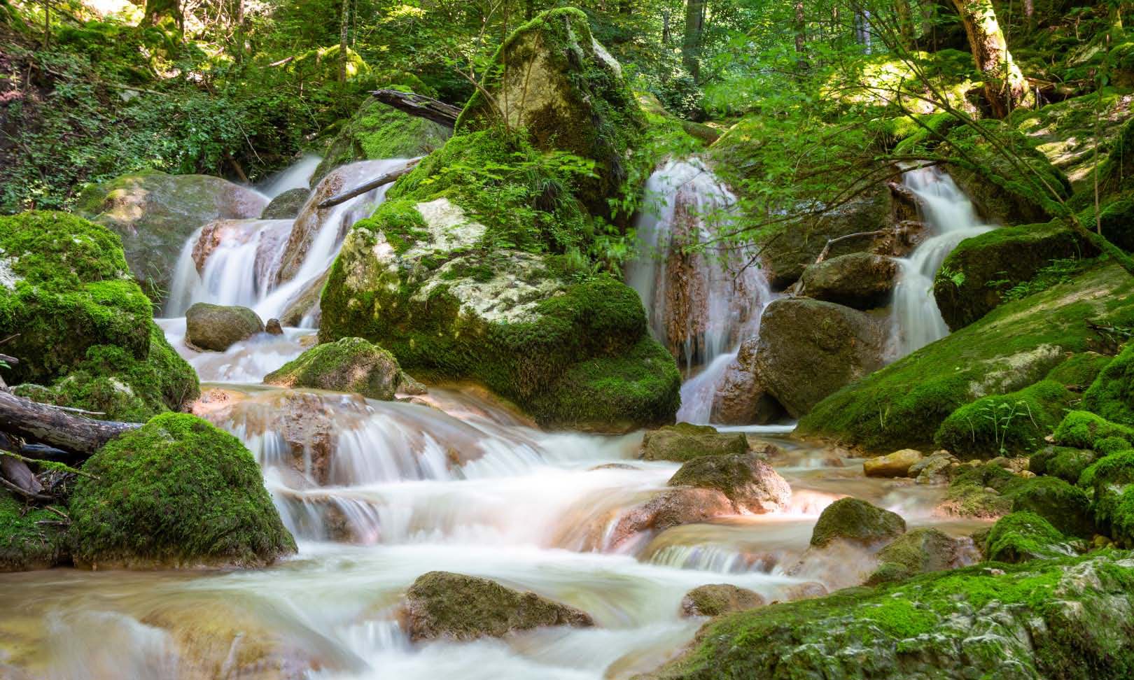 Schönheiten der Natur