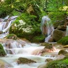 Schönheiten der Natur