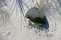 Schönheiten der Natur