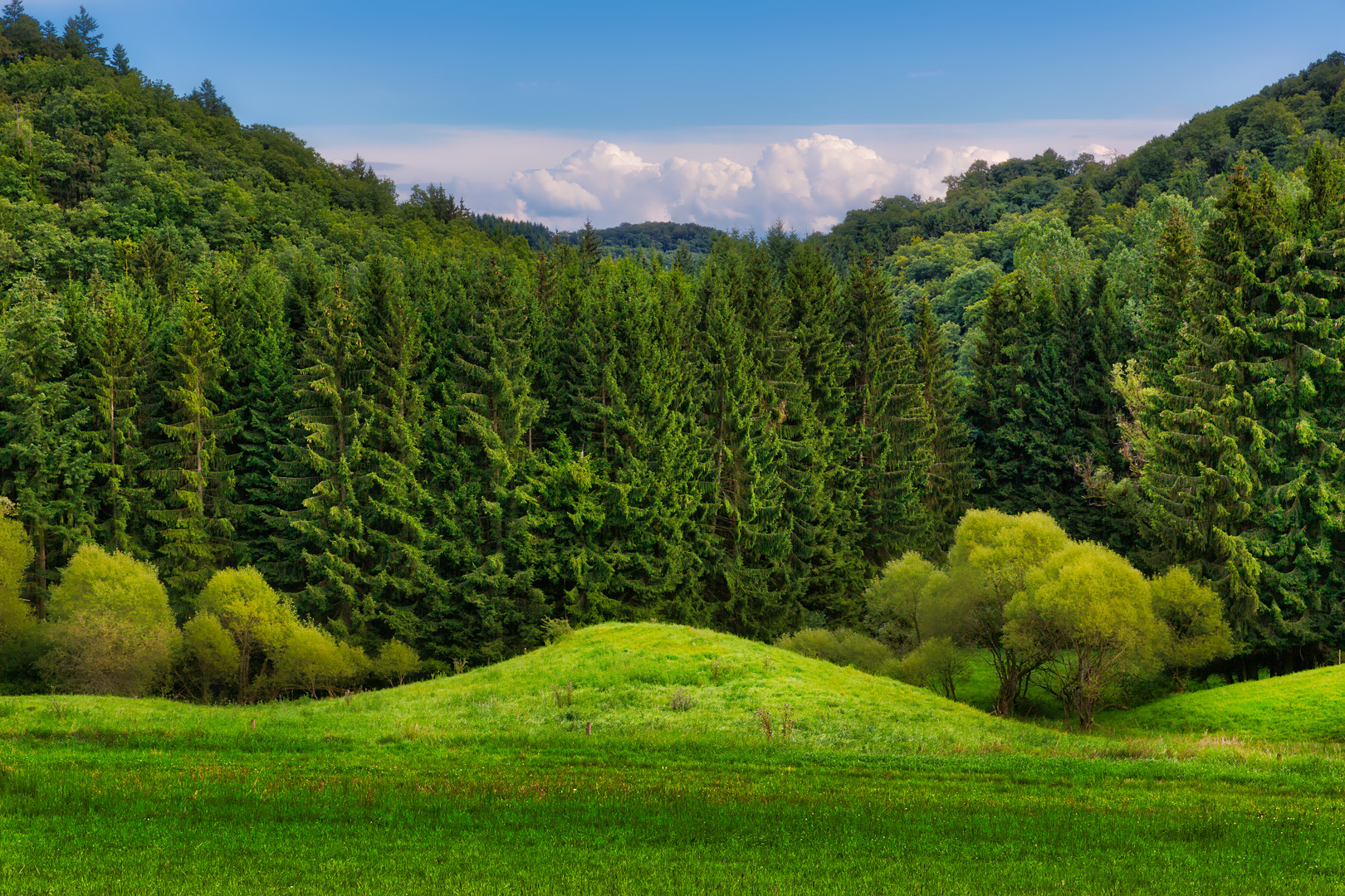 Schönheiten der Vulkaneifel