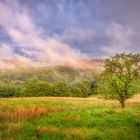 Schönheiten der Vulkaneifel