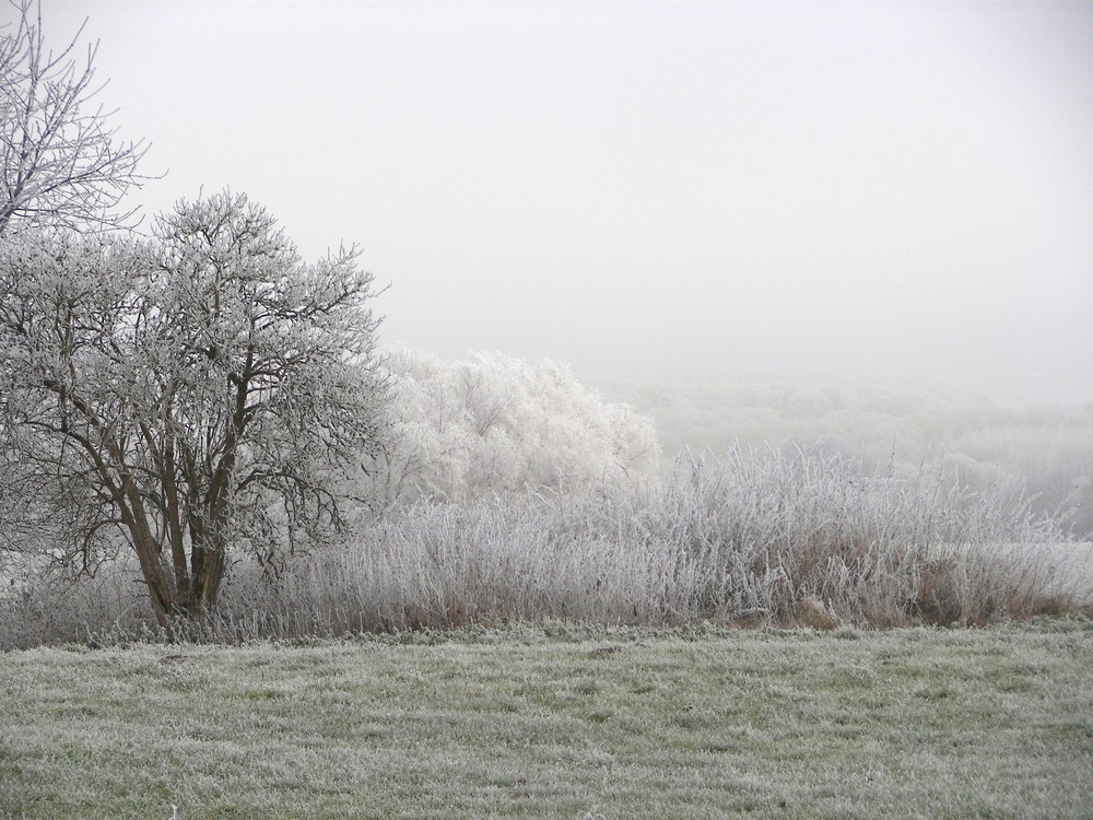 Schönheiten des Winters