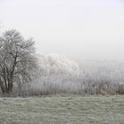 Schönheiten des Winters