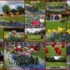 Schönheiten im Park von Belvedere bei Weimar