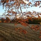 Schöninger Herbst....