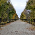 Schönnbrunn Schlosspark