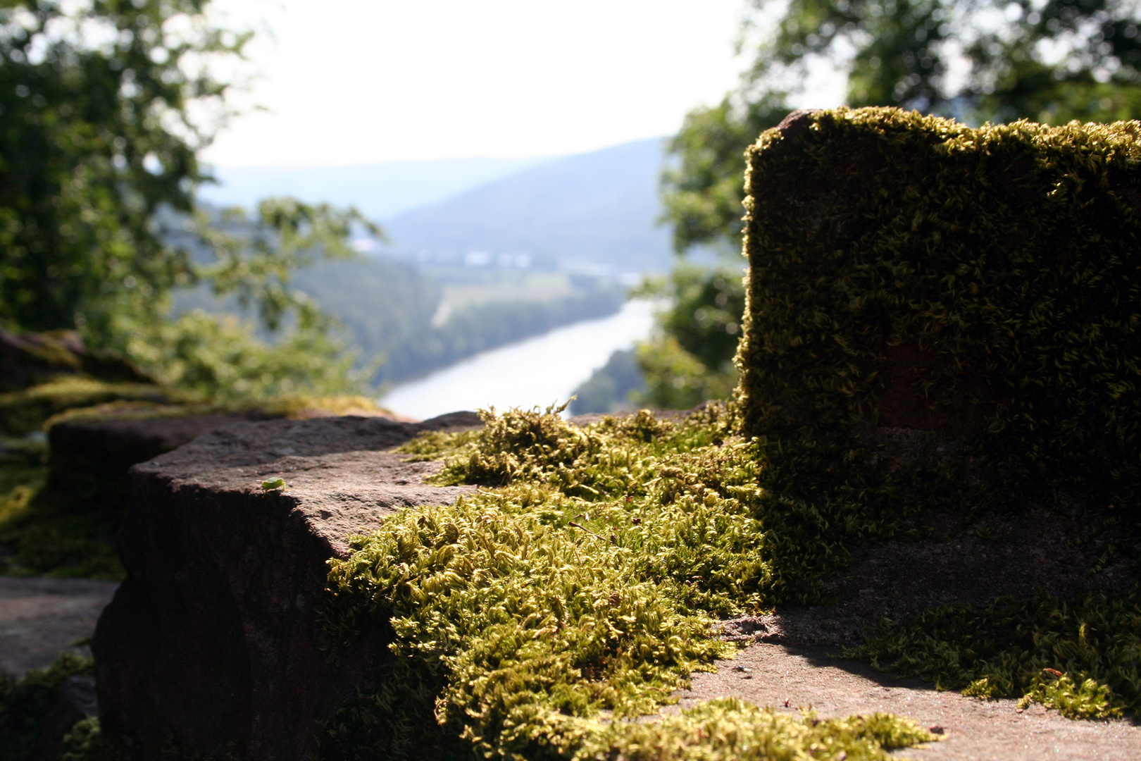 Schönrain Ausblick