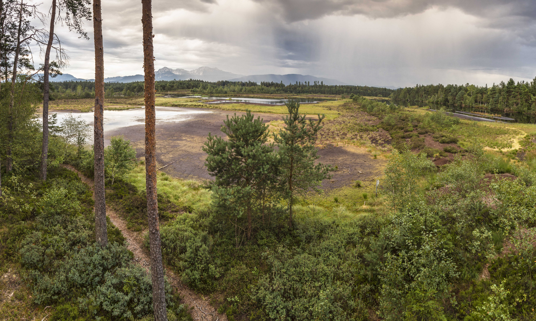 Schönramer Filz Foto & Bild | landschaft, moor, natur Bilder auf ...