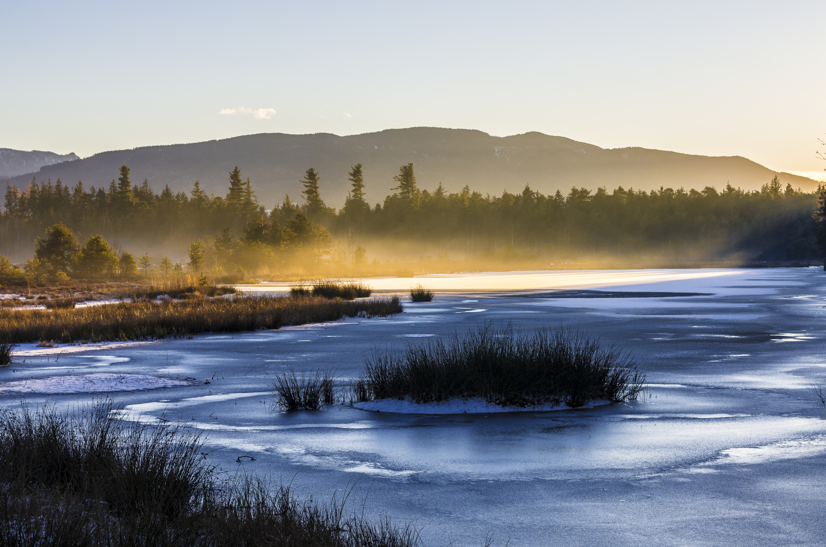 Schönramer Filz Foto & Bild | winter, natur, europa Bilder auf ...