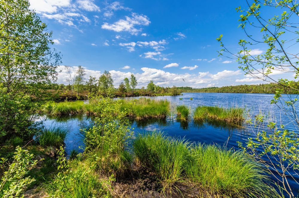 Schönramer Heidesee