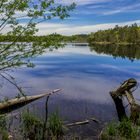 Schönramer Heidesee