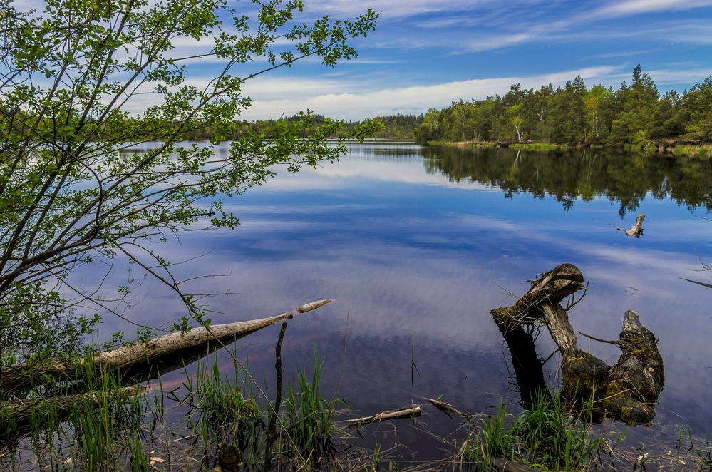 Schönramer Heidesee