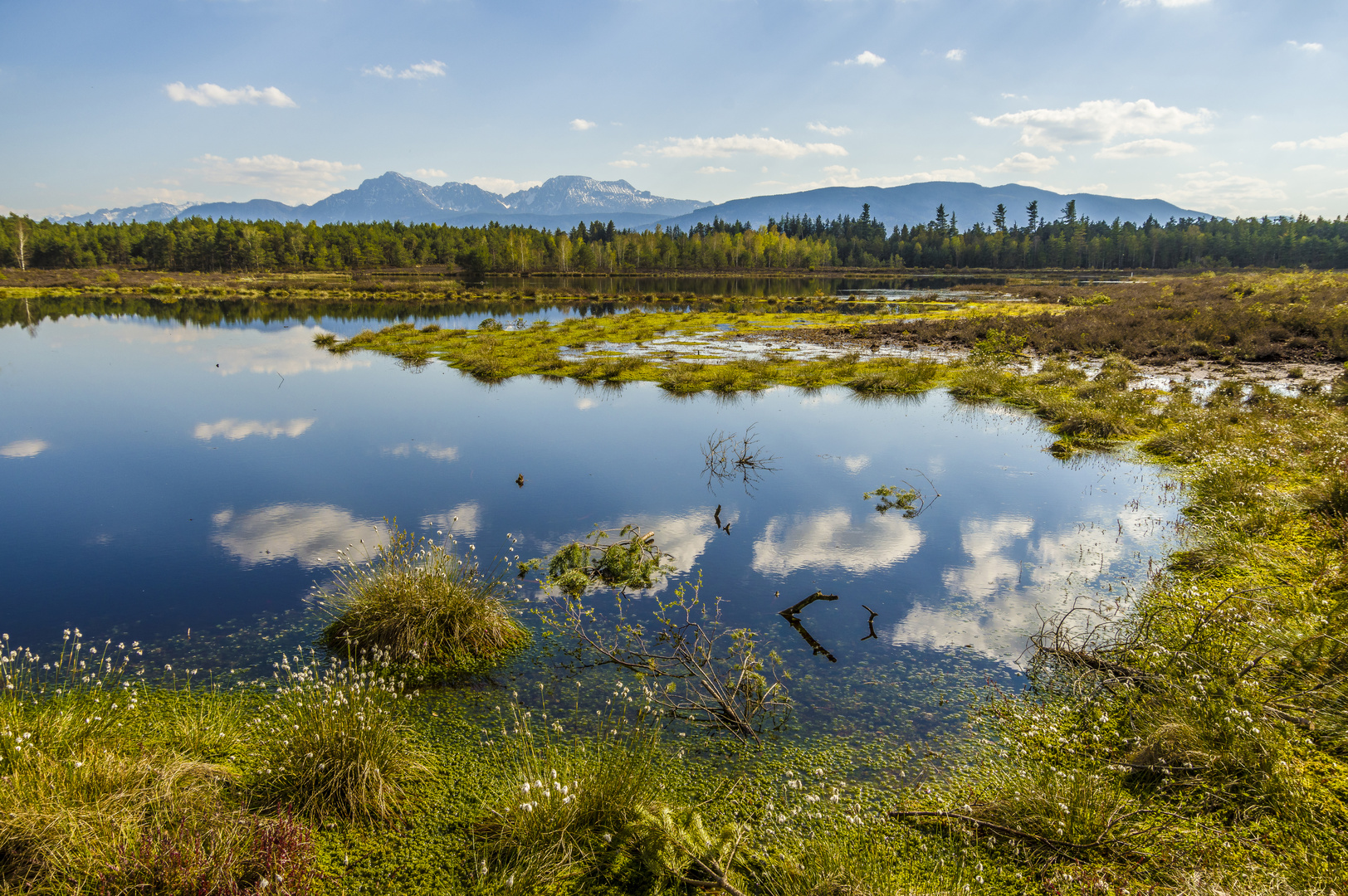 Schönramer Moor